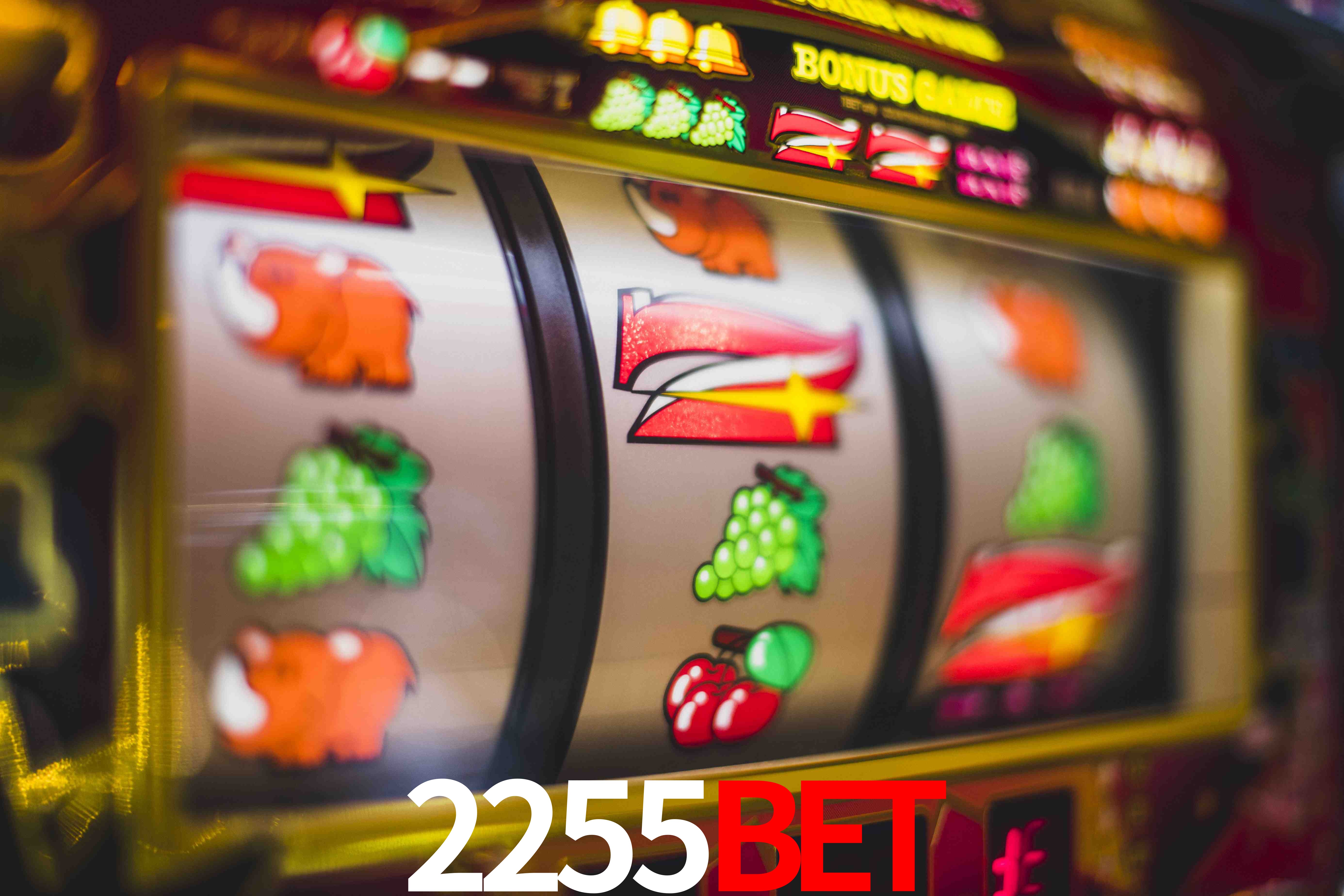 Secure Login 2255BET